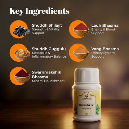 Shilajeet Vati For Vitality & Diabetes Care (30 gm)